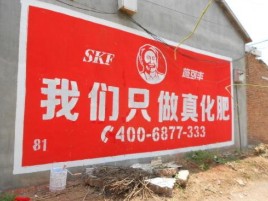 武宣刷墙广告”蕴含了时代命题