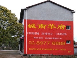 武宣百分之90的人都不了解的农村墙体广告