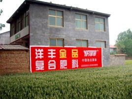 武宣如何让墙体广告展现最大化效果