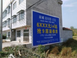 武宣墙体广告质量分析
