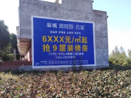 武宣墙体广告的好处