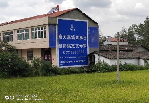 武宣决定墙体广告价格的因素有哪些？