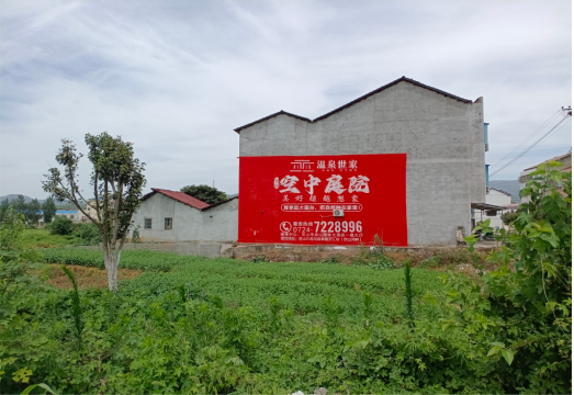 武宣做墙体广告的意义