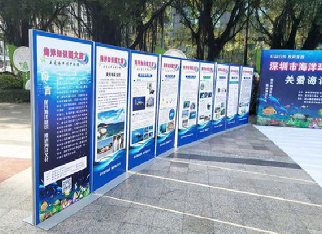 武宣KT板的种类和知识。